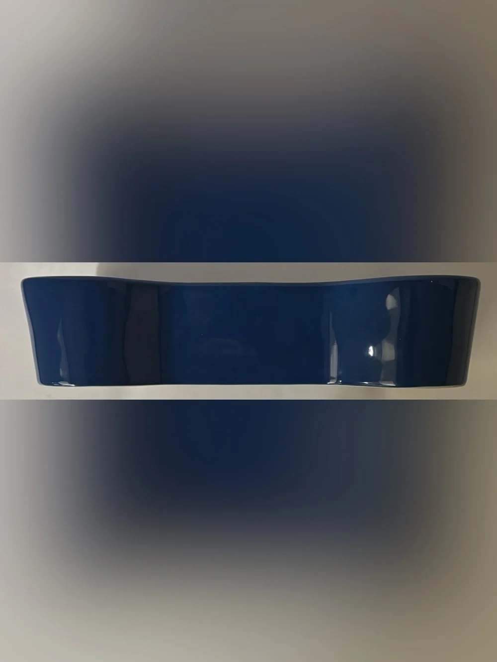 Rae Dunn patriotic pooch dog bowl bone shape ceramic blue white